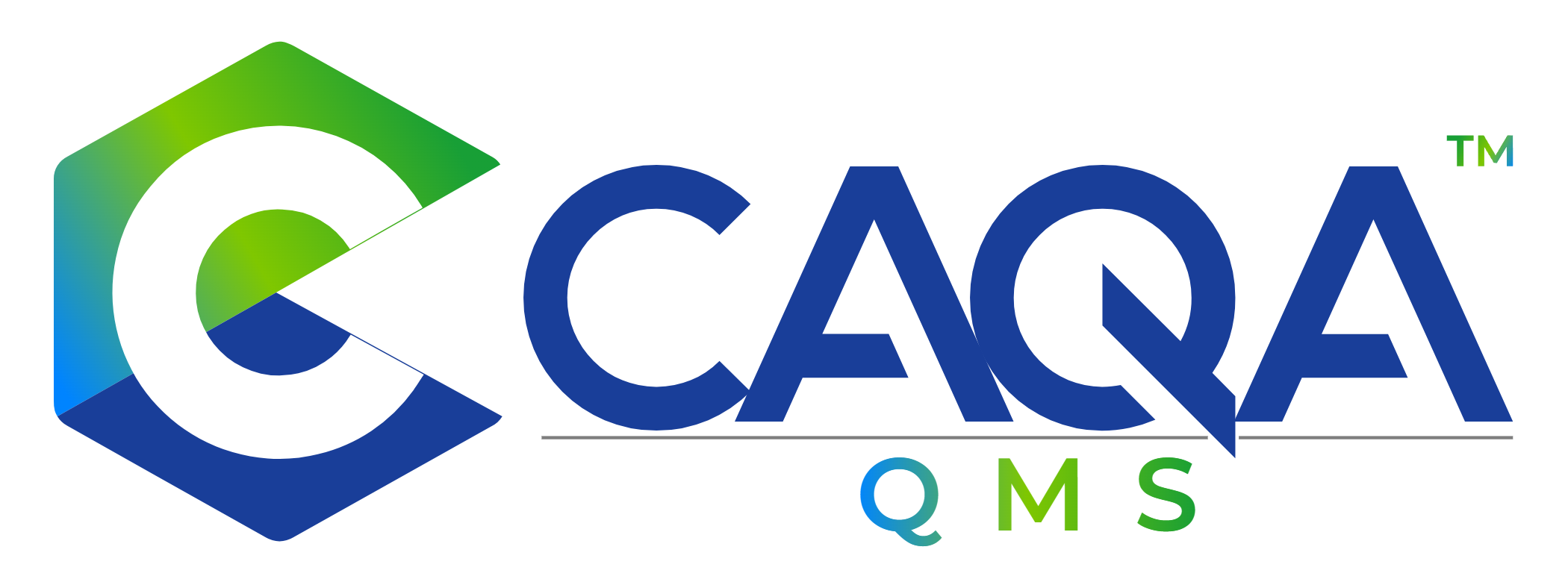 CAQA QMS logo